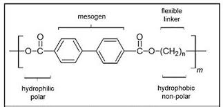 Liquid Crystal Polymer